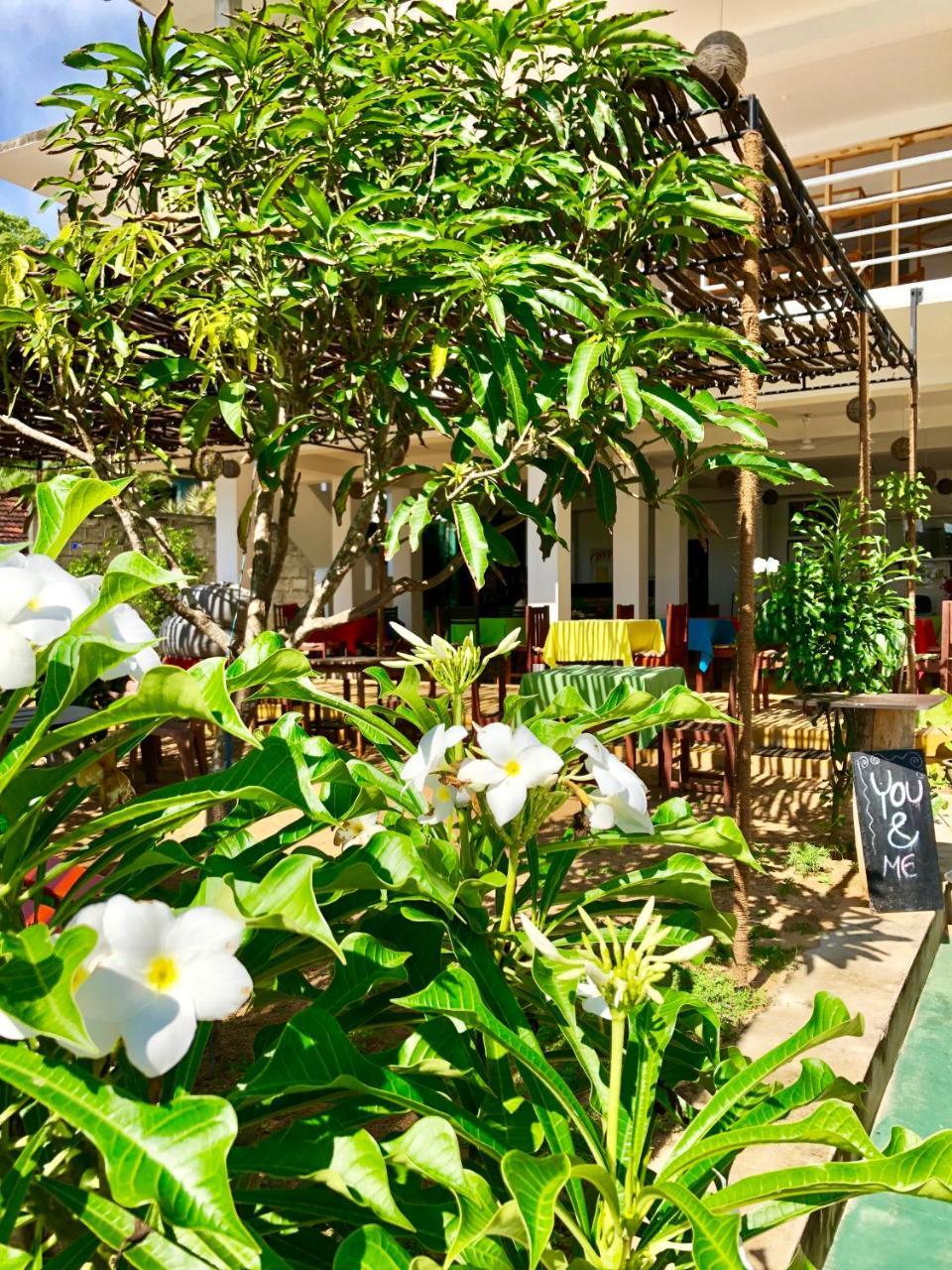 Coppenrath Hostel Tangalle Dış mekan fotoğraf